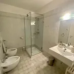 Panorama Rosie Design *