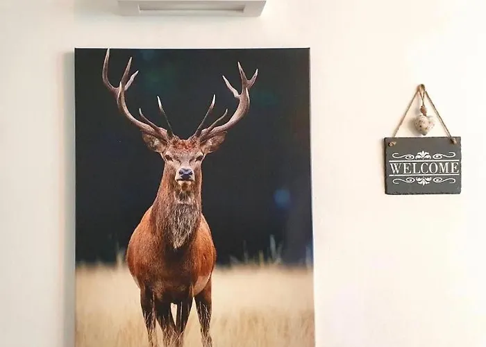 Апартаменты Panorama Rosie Design