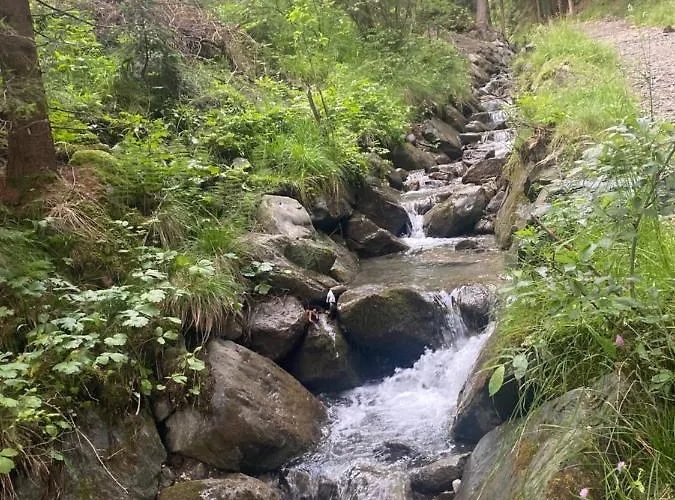 Panorama Rosie Design Апартаменты